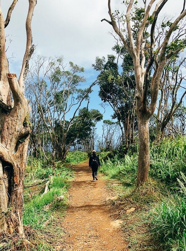 23 Things to Do in Maui, by thewoksoflife.com