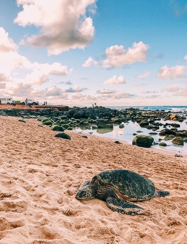 23 Things to Do in Maui, by thewoksoflife.com