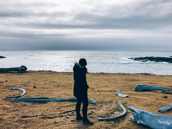 Snaefellsnes Peninsula