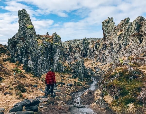 Icelandic Street Food