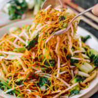 Vegetable Chow Mein Recipe