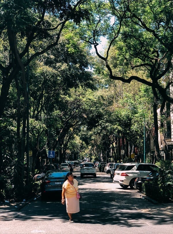 Condesa, Mexico City