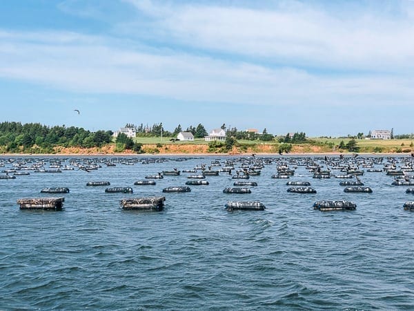 Prince Edward Island Canada - Red Cliffs and Potatoes by thewoksoflife.com