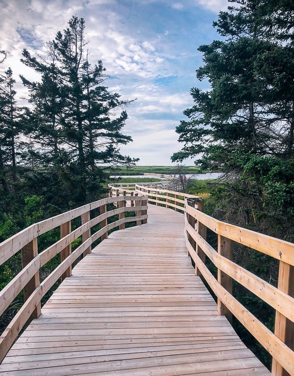 Prince Edward Island Canada - Red Cliffs and Potatoes by thewoksoflife.com