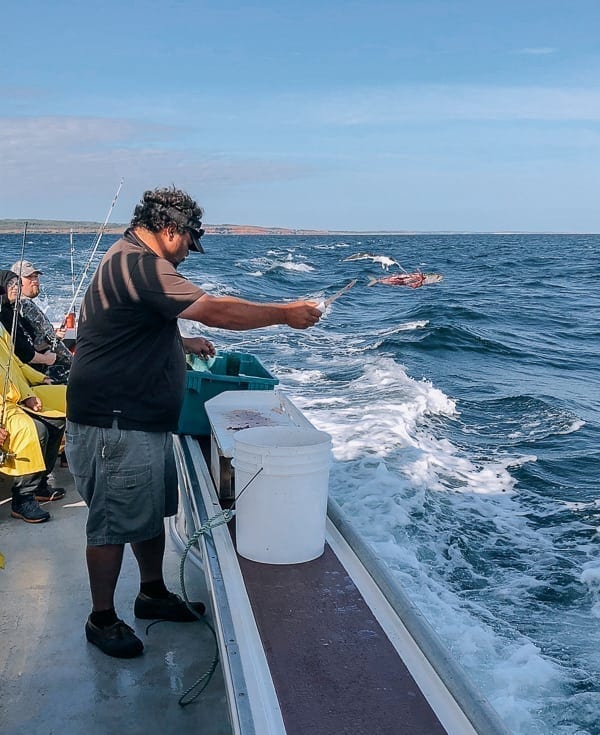 Prince Edward Island Canada - Red Cliffs and Potatoes by thewoksoflife.com