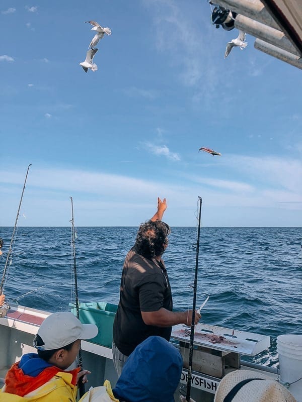Prince Edward Island Canada - Red Cliffs and Potatoes by thewoksoflife.com