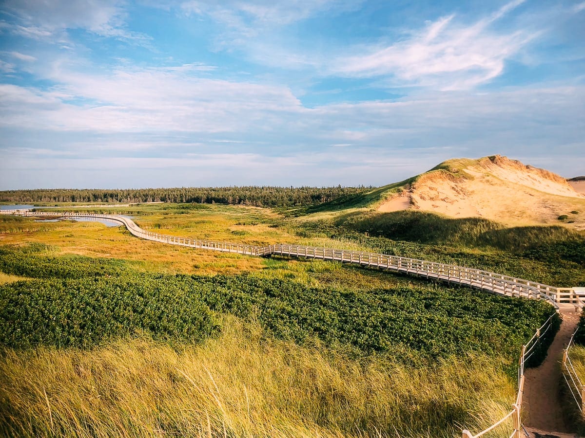 Prince Edward Island Canada - Red Cliffs and Potatoes by thewoksoflife.com