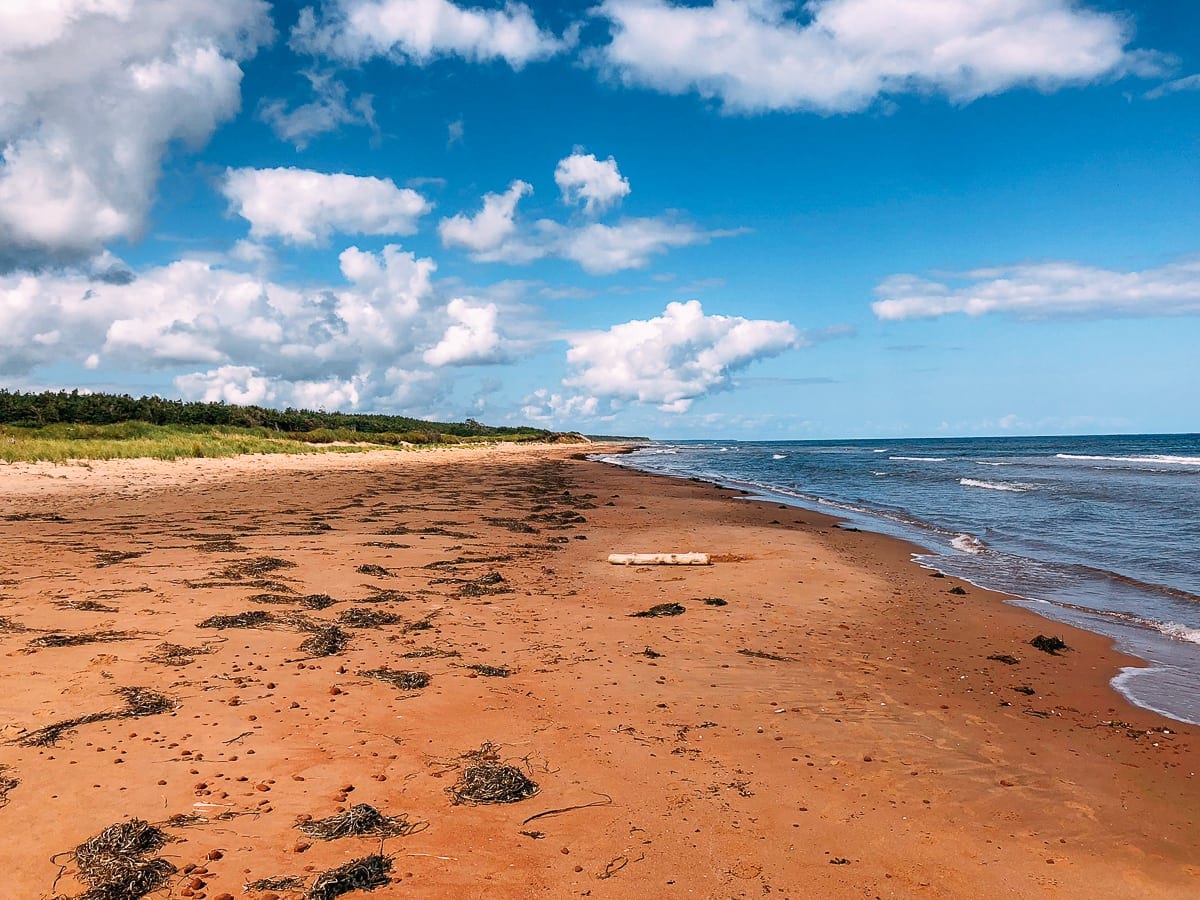 Prince Edward Island Canada - Red Cliffs and Potatoes by thewoksoflife.com