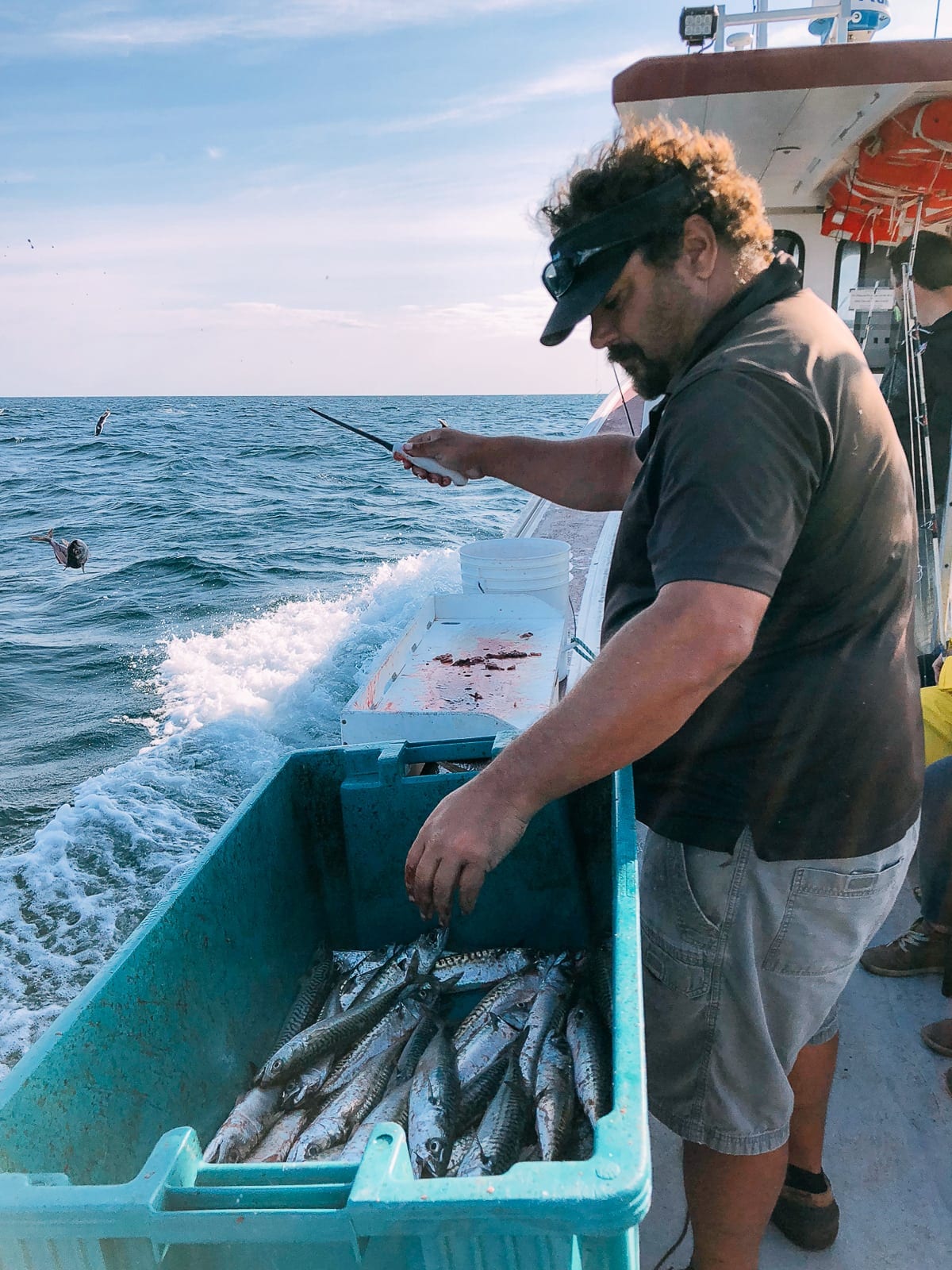 Prince Edward Island Canada - Red Cliffs and Potatoes by thewoksoflife.com