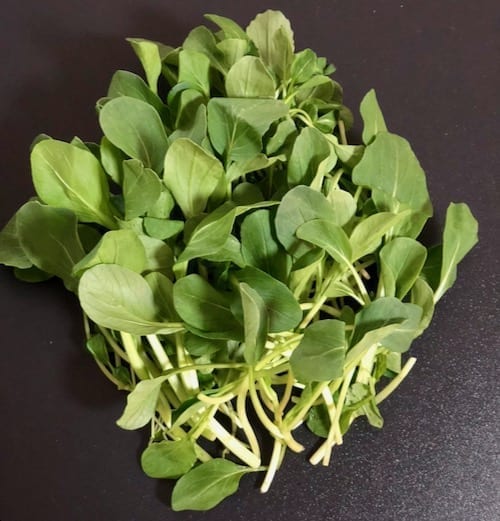 jimaocai - chicken feather vegetable in market by thewoksoflife.com