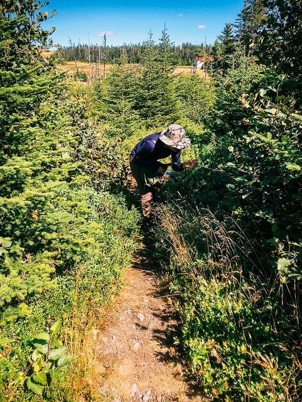 Newfoundland Canada - The Rock by thewoksoflife.com
