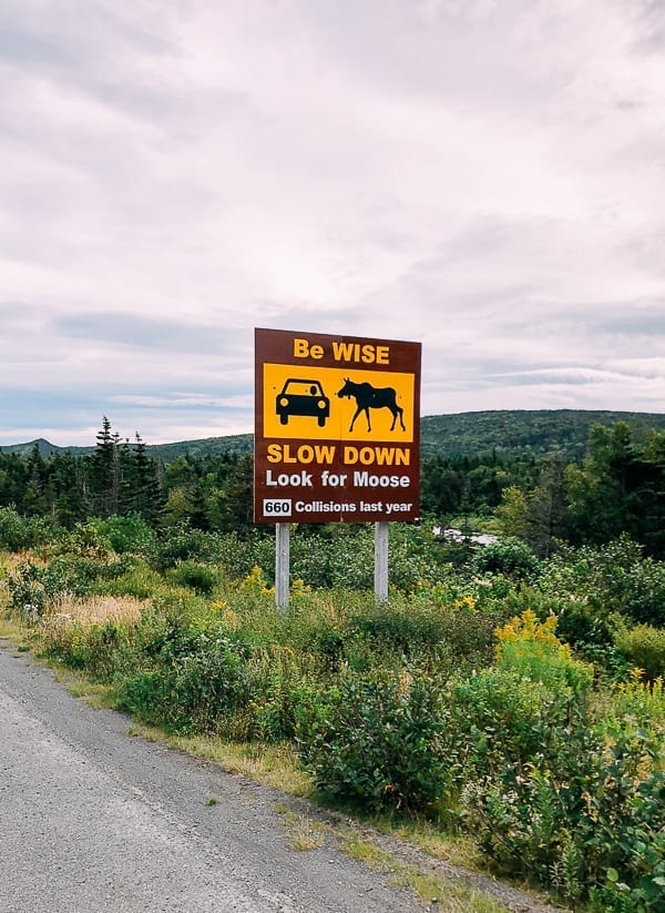 Newfoundland Canada - The Rock by thewoksoflife.com