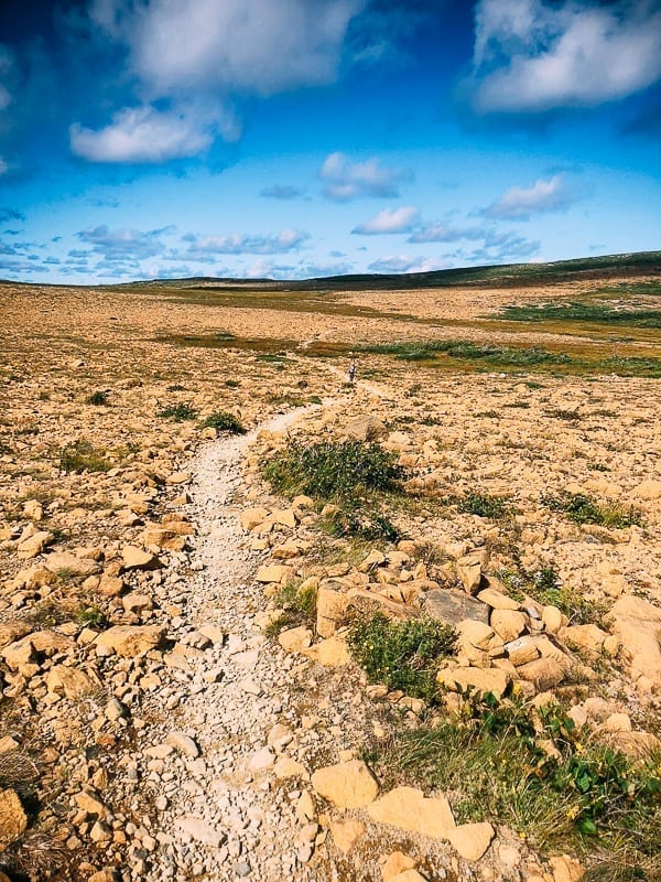Newfoundland Canada - The Rock by thewoksoflife.com