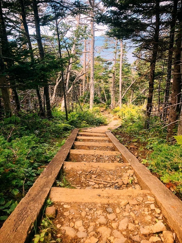 Newfoundland Canada - The Rock by thewoksoflife.com