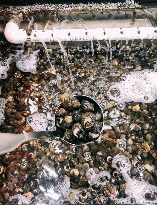 Cantonese-Style Periwinkle Snails in Black Bean Sauce, by thewoksoflife.com