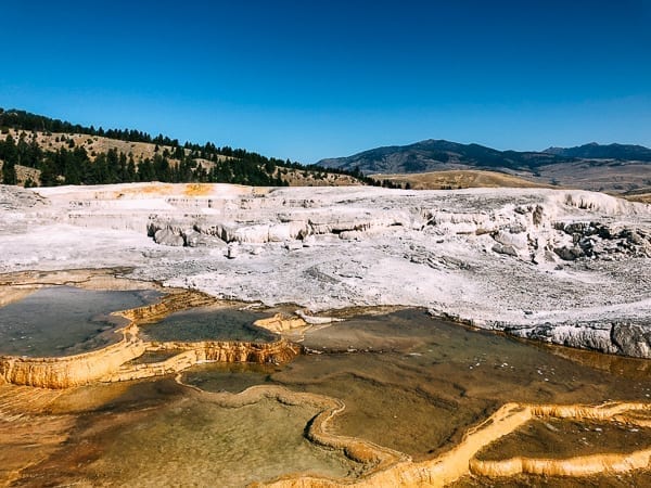 Mammoth Hot Springs, thewoksoflife.com
