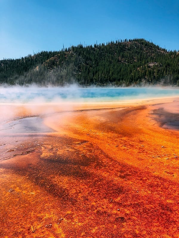 1 Week in Yellowstone & Grand Teton: Our Trip & Advice!