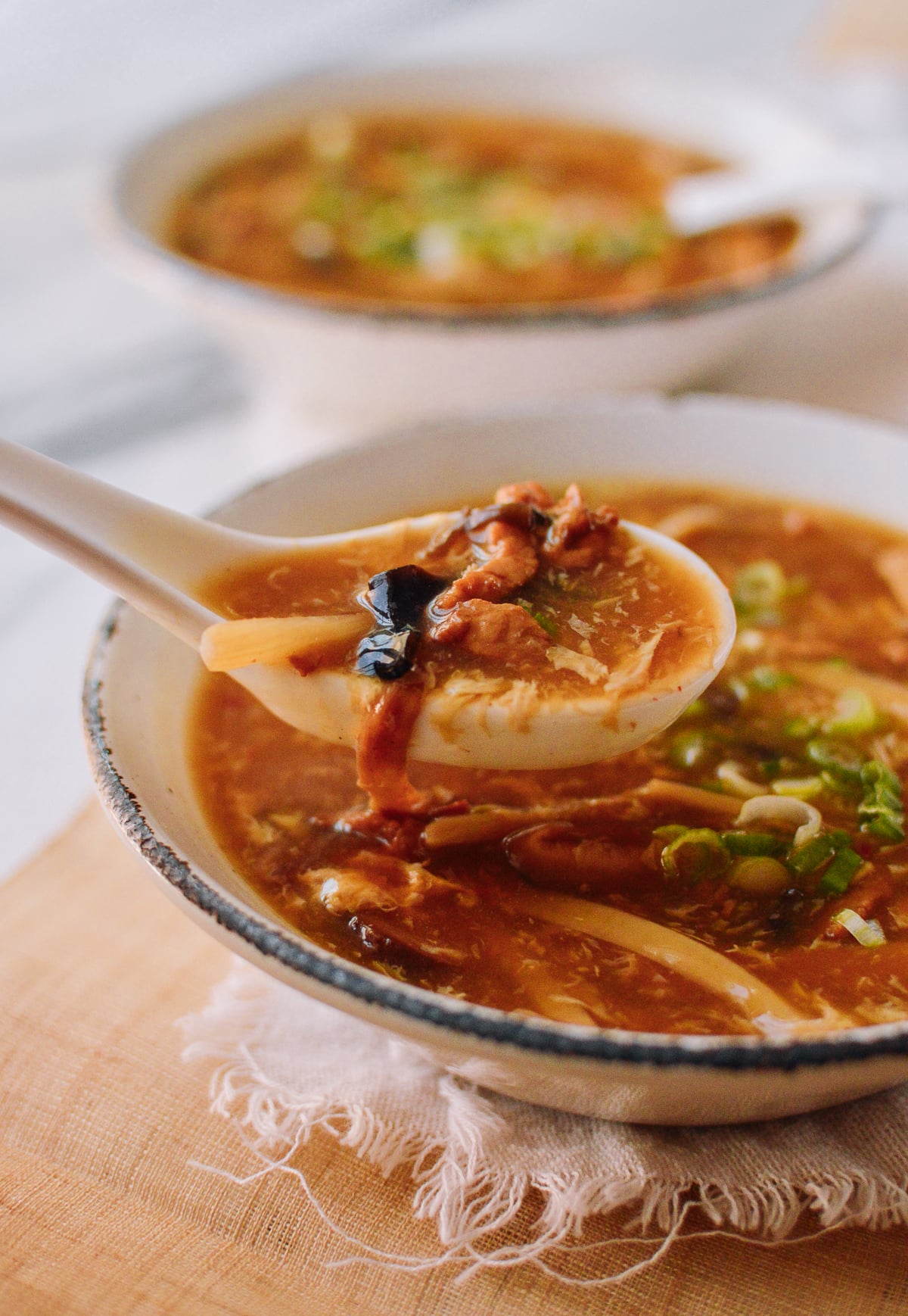 Hot and Sour Soup