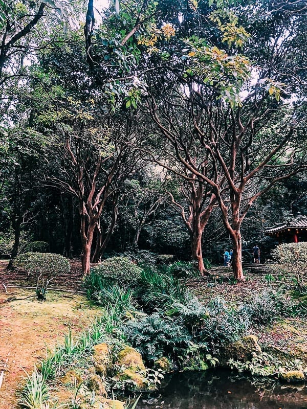 Byodo In Temple Gardens, thewoksoflife.com