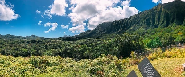 Ho'omaluhia Botanical Garden View, thewoksoflife.com