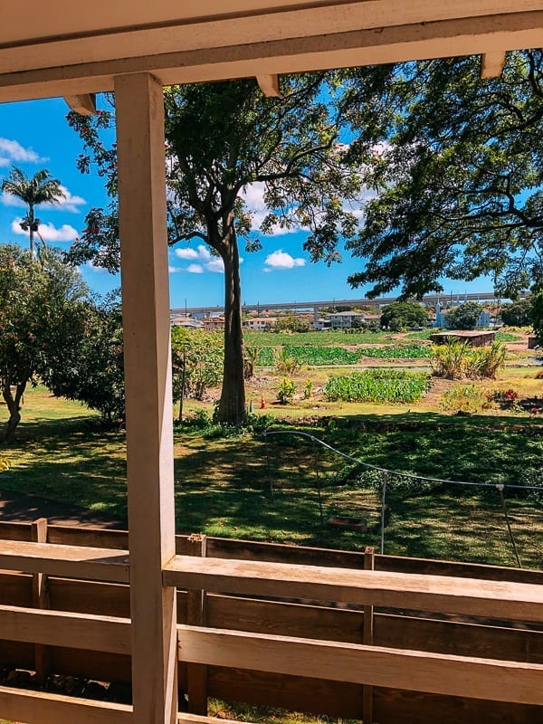 Hawaii Planation Village outside, thewoksoflife.com