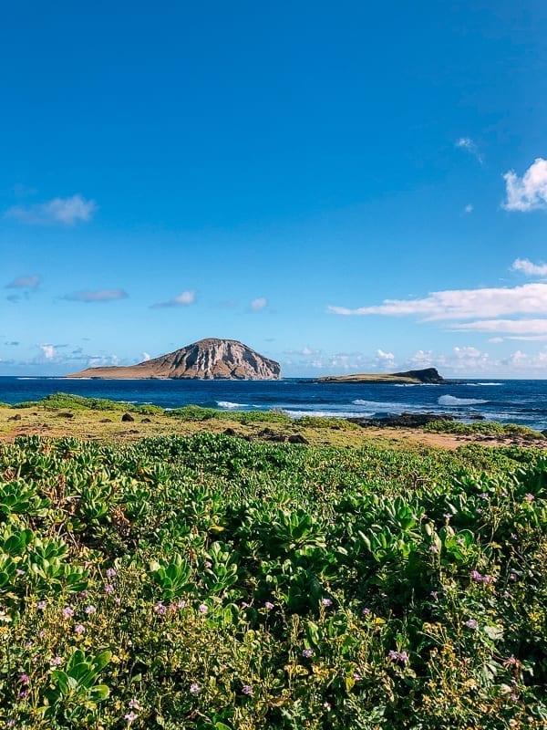 View from Makapu'u, thewoksoflife.com