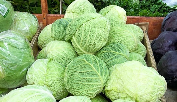 Savoy cabbage by thewoksoflife.com