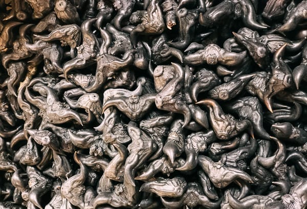 buffalo nut, thewoksoflife.com