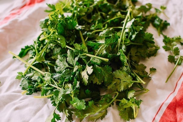 Drying cilantro with clean towel, thewoksoflife.com
