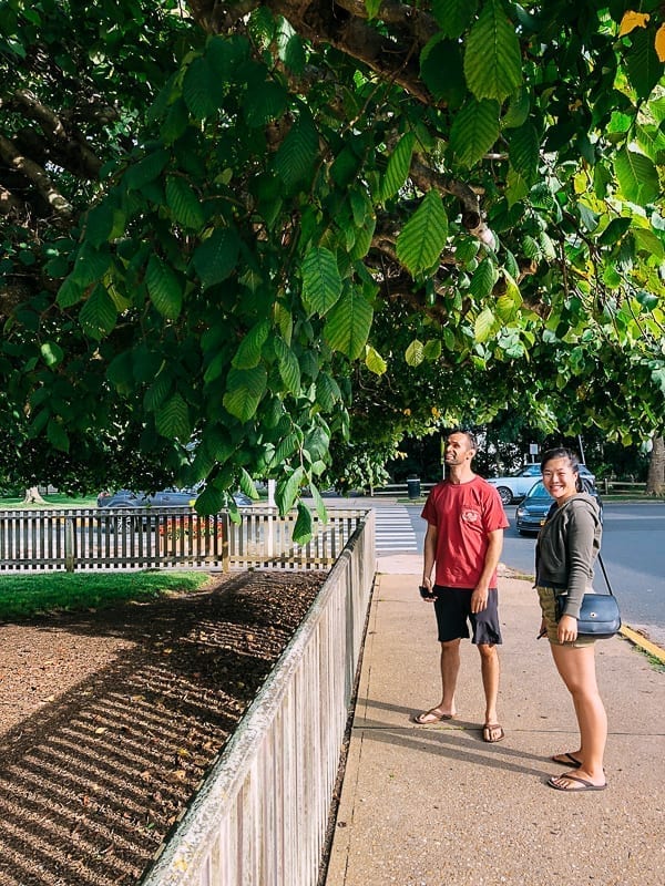 The Woks of Life in Amagansett, thewoksoflife.com