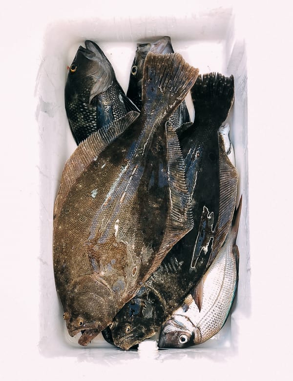 Catch of the day, fluke, seabass, and porgies, thewoksoflife.com