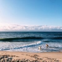 Dogs running on beach, thewoksoflife.com