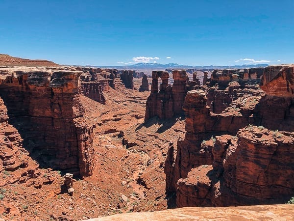 canyon view from White rim trail in Canyonlands by thewoksoflife.com