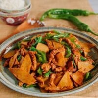 Chinese Tofu Sheet Stir-fry with Pork, thewoksoflife.com