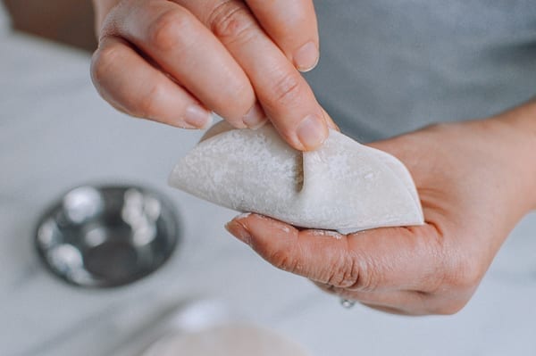 Making first pleat, thewoksoflife.com