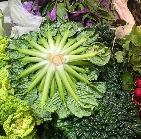 Bottom of Tatsoi leafy green Chinese vegetable by thewoksoflife.com