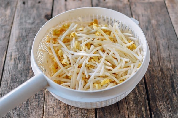 Trimmed soybean sprouts in colander, thewoksoflife.com
