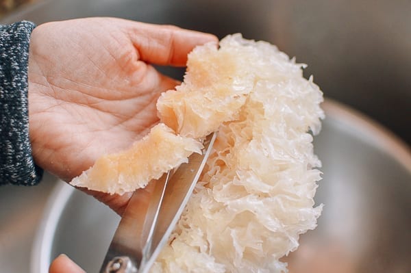 Cutting tough end off of reconstituted snow fungus, thewoksoflife.com