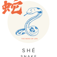The Woks of Life Chinese Zodiac Snake