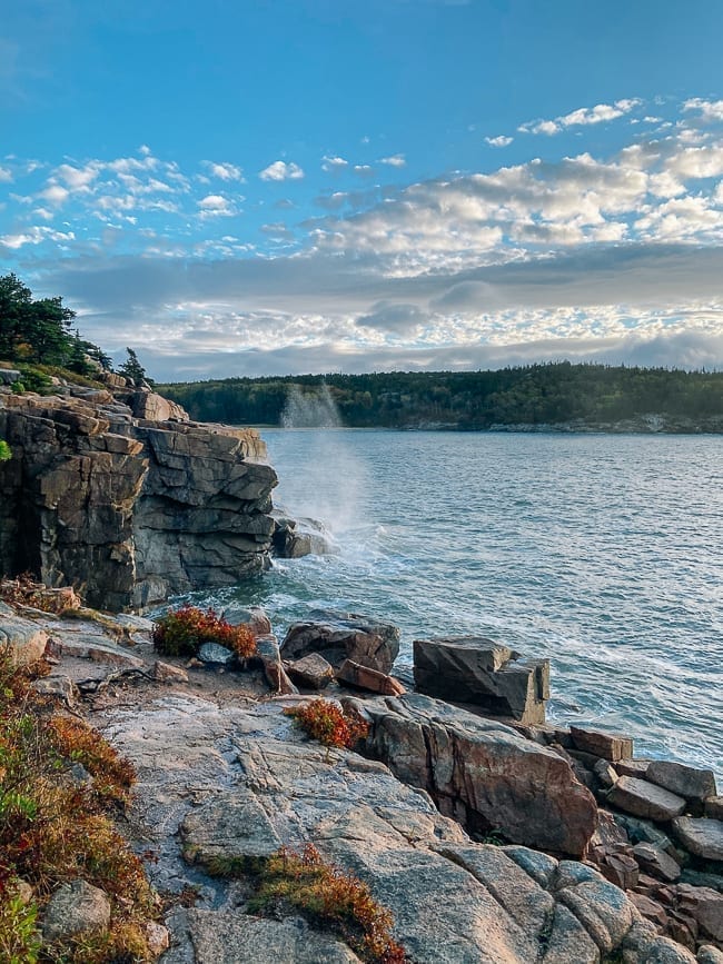 Shoreline along Ocean Path in Acadia, thewoksoflife.com