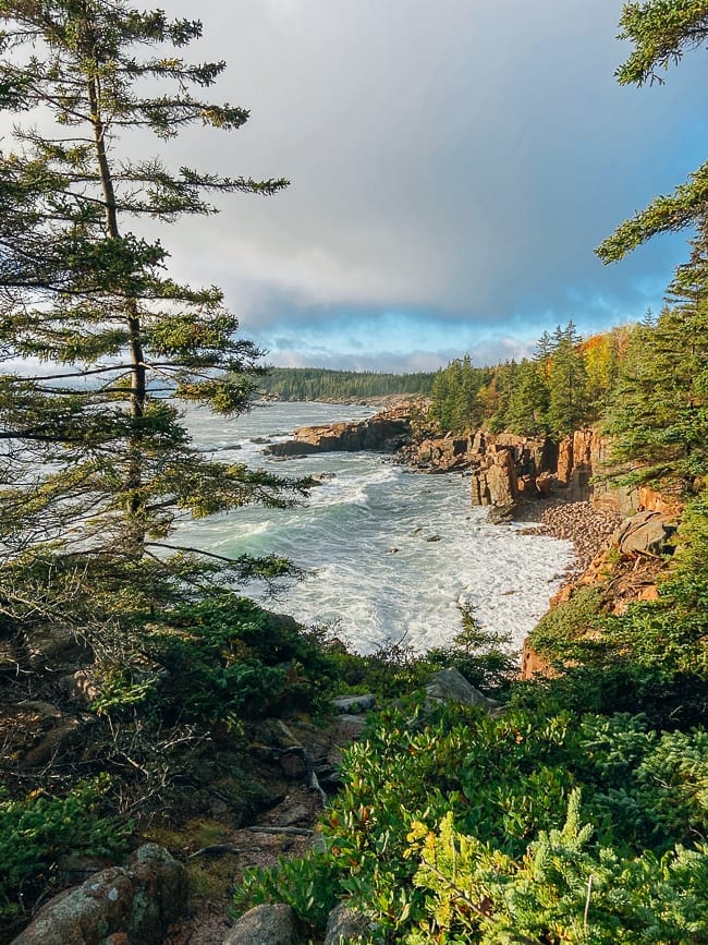 Shoreline along Ocean Path in Acadia, thewoksoflife.com