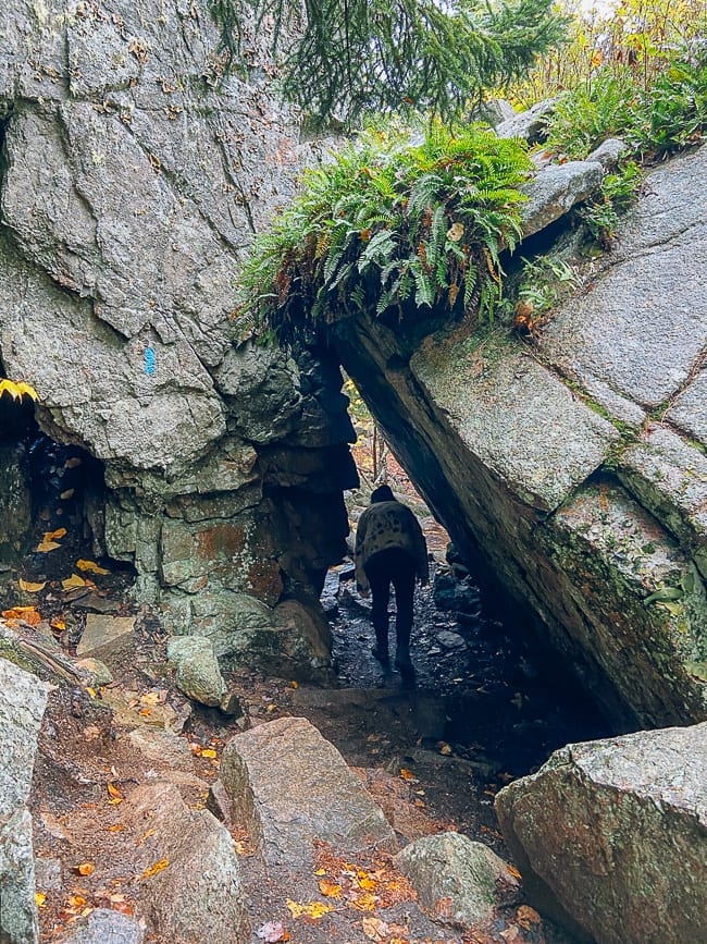 Cadillac Cliffs spur trail in Acadia National Park, thewoksoflife.com