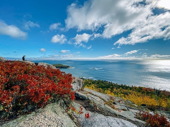 View from summit of Gorham Mountain, thewoksoflife.com