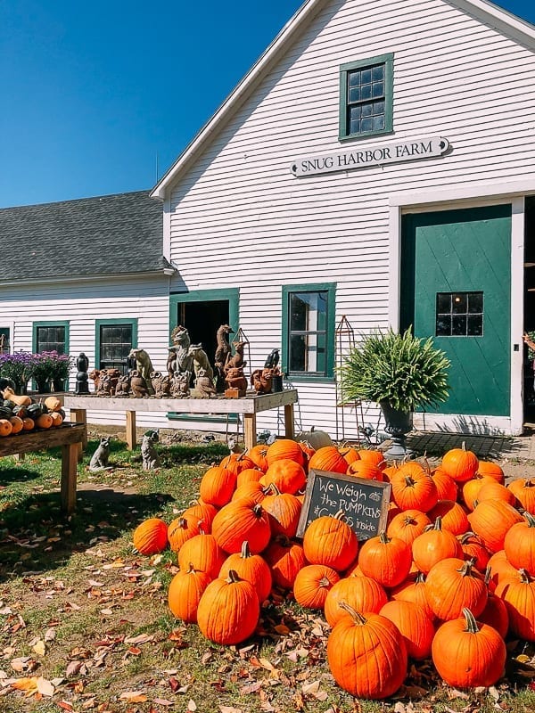 Pumpkins outside Snug Harbor Farm, thewoksoflife.com