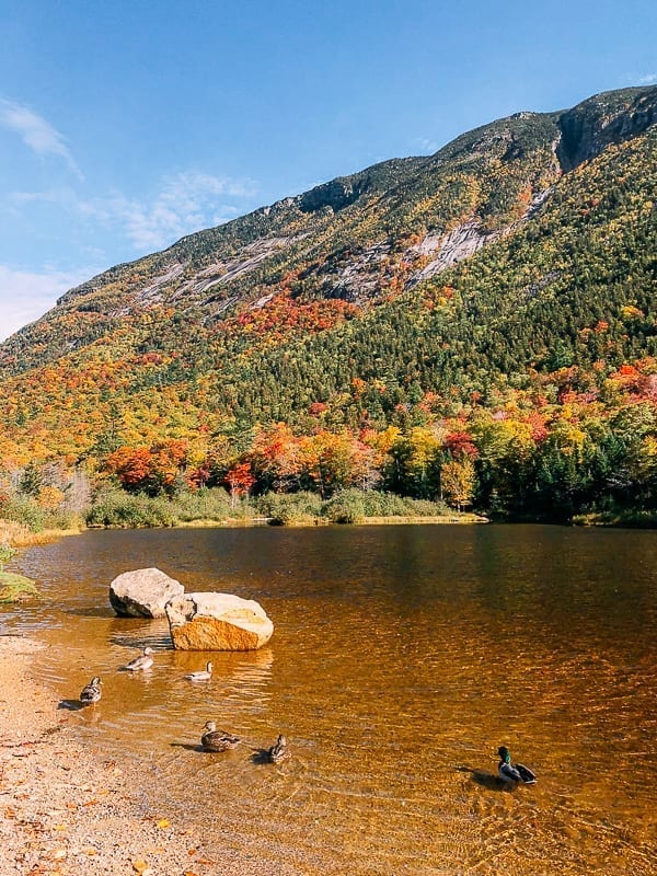 Saco River in Fall, thewoksoflife.com