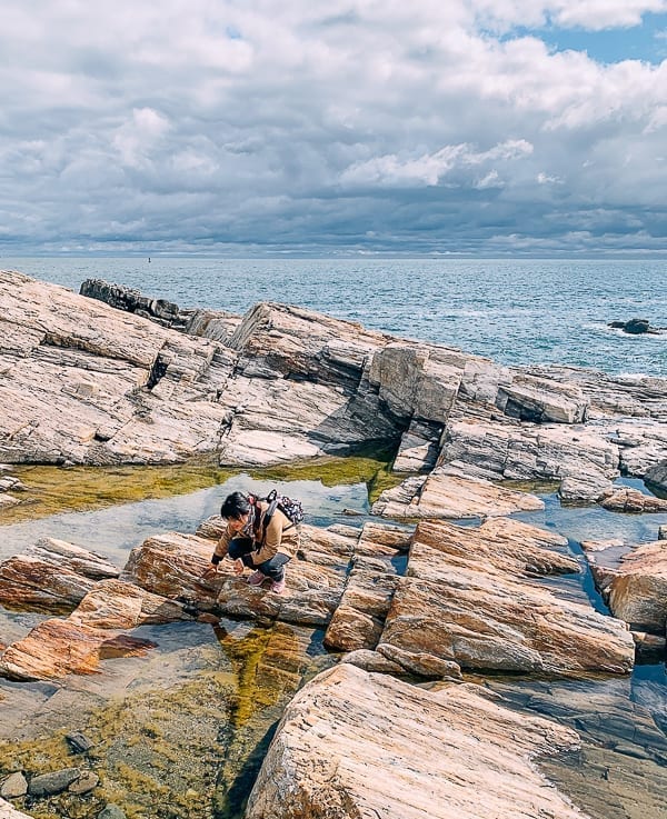 Kaitlin looking at tide pools in Maine, thewoksoflife.com