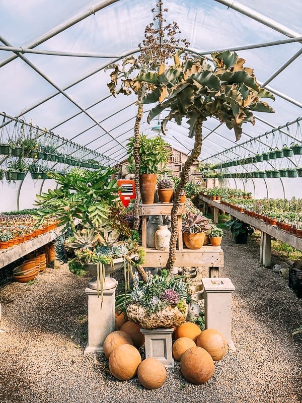 Greenhouse at Snug Harbor Farm, thewoksoflife.com