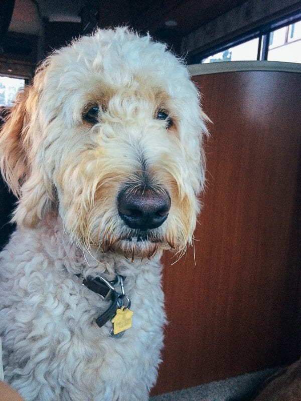 Adirondacks, by thewoksoflife.com