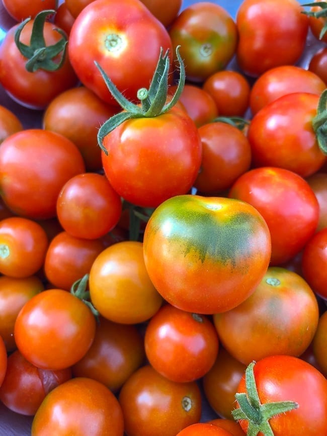 Tomato harvest, thewoksoflife.com