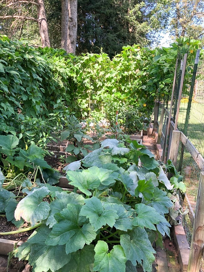 The Woks of Life Garden Tour, thewoksoflife.com